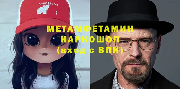 стаф Щигры