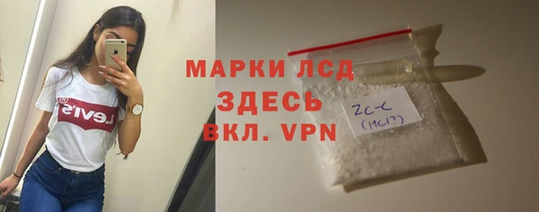 стаф Щигры