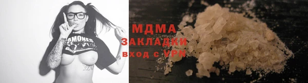 стаф Щигры