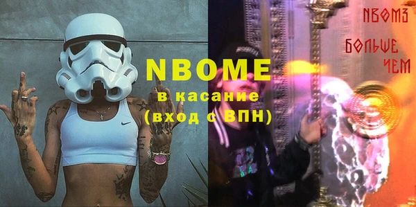 стаф Щигры