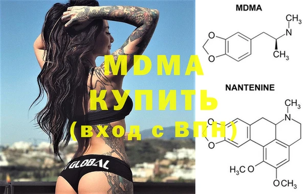 стаф Щигры