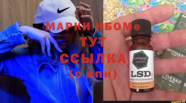 стаф Щигры