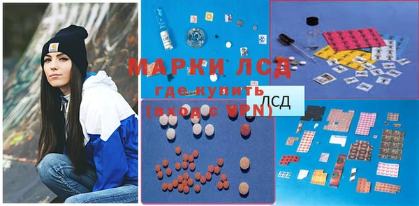 стаф Щигры