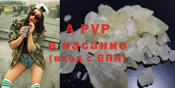стаф Щигры