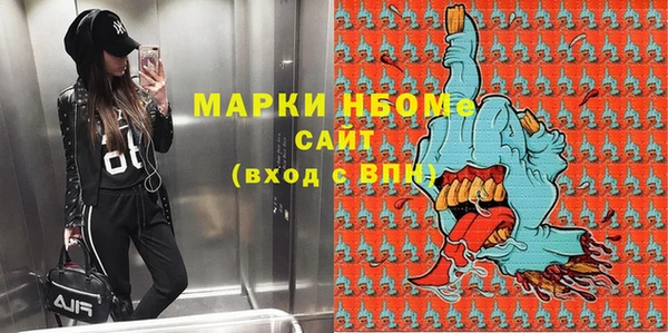 стаф Щигры
