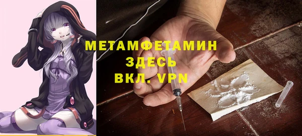 стаф Щигры
