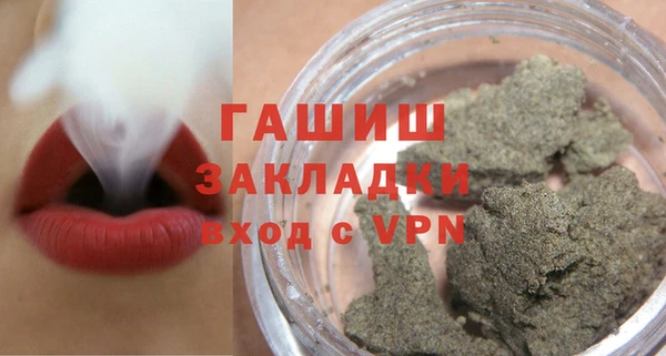 стаф Щигры