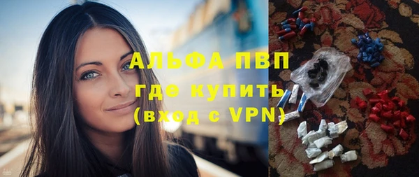 стаф Щигры
