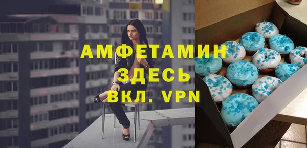 стаф Щигры