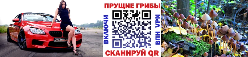 Псилоцибиновые грибы ЛСД  Купить где  Партизанск 
